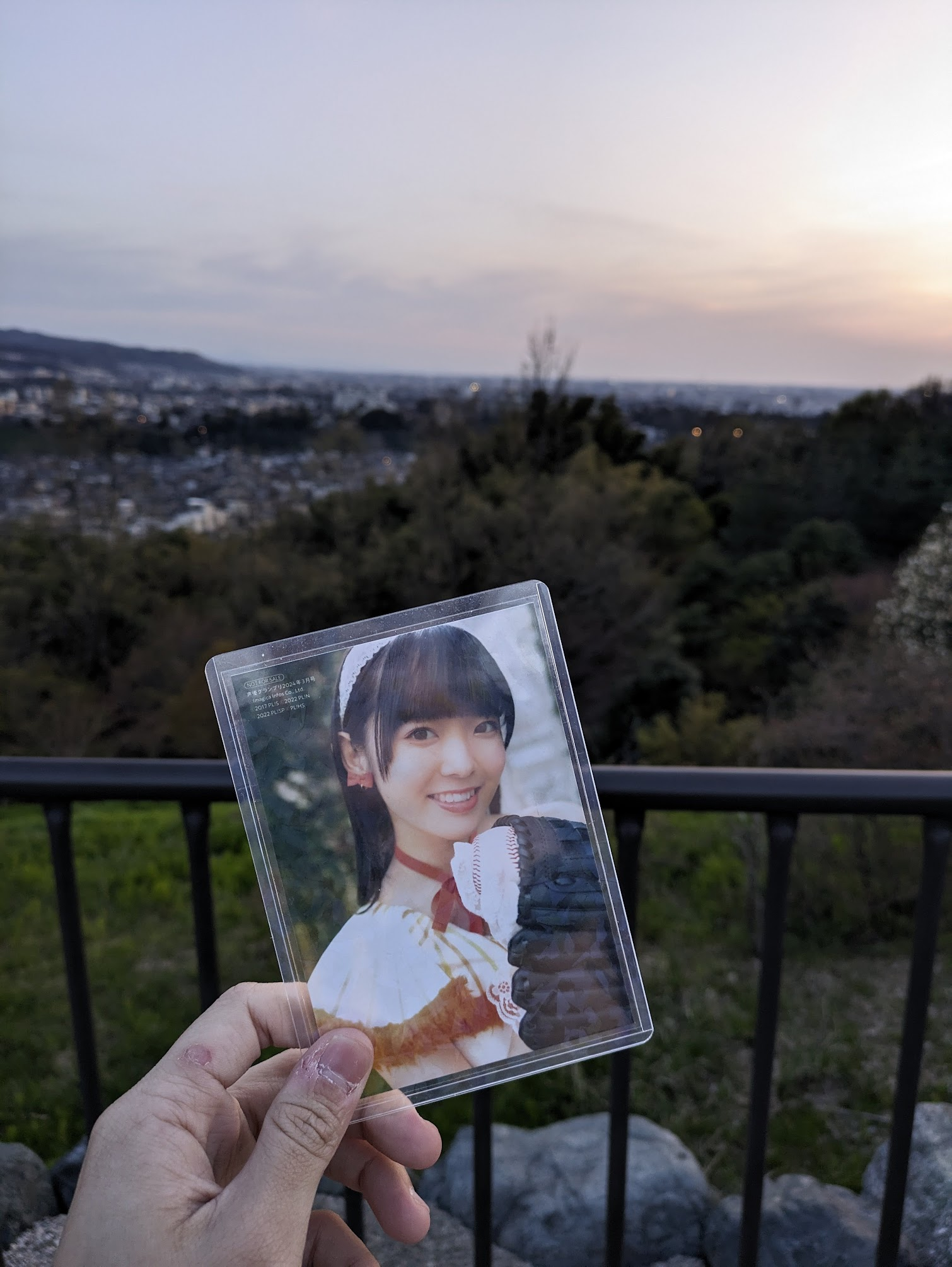 例の写真