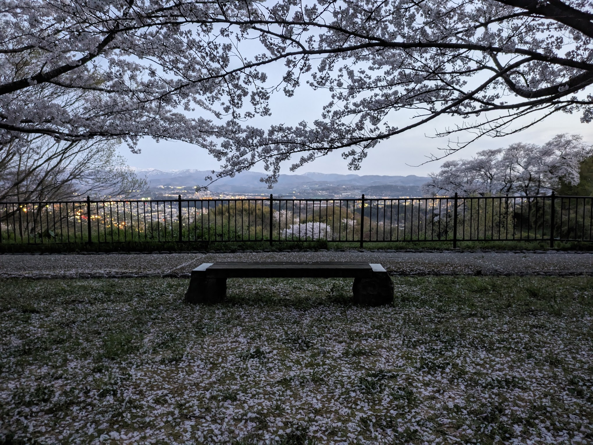 迫力あるのベンチ