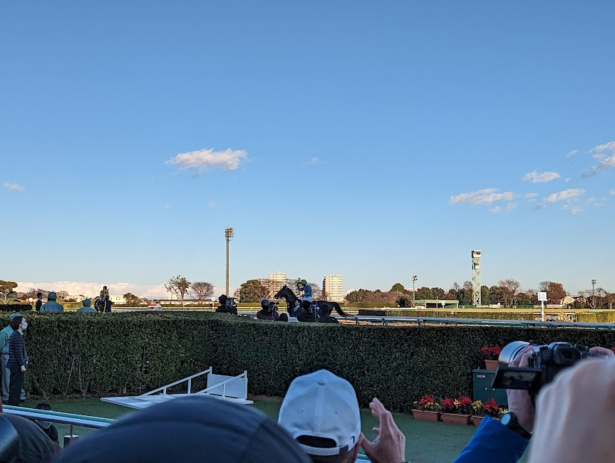 Equinox กับ Christopher Lemaire Jockey ผู้ชนะครั้งนี้ไป