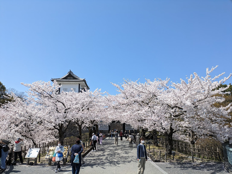 はなだぁぁぁ